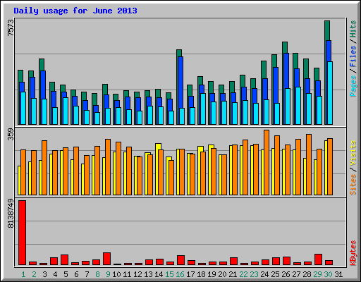 Daily usage for June 2013