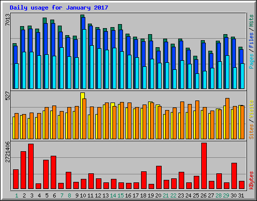 Daily usage for January 2017