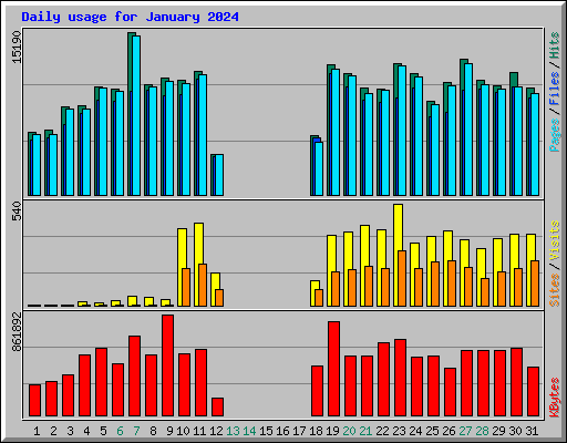 Daily usage for January 2024