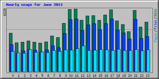 Hourly usage for June 2013