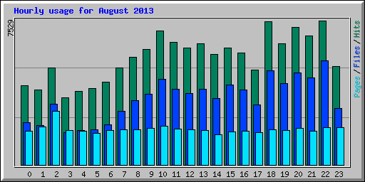 Hourly usage for August 2013