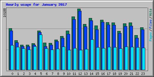 Hourly usage for January 2017