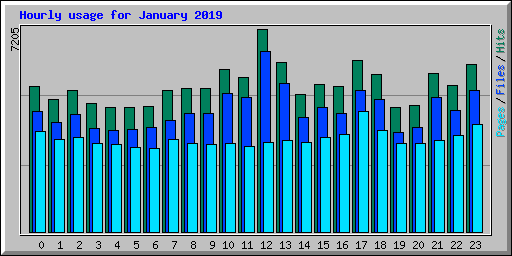 Hourly usage for January 2019