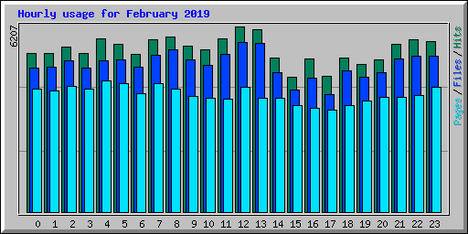 Hourly usage for February 2019