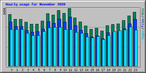 Hourly usage for November 2020