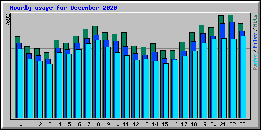 Hourly usage for December 2020