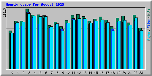 Hourly usage for August 2023