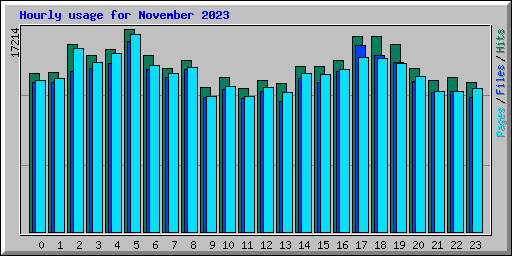 Hourly usage for November 2023