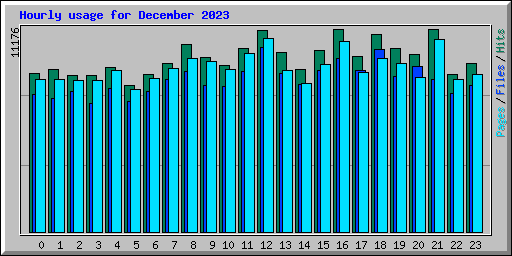 Hourly usage for December 2023