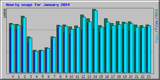 Hourly usage for January 2024