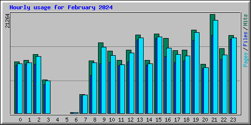 Hourly usage for February 2024