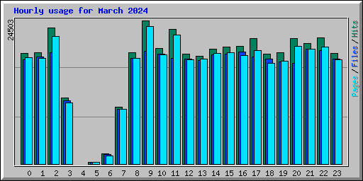 Hourly usage for March 2024