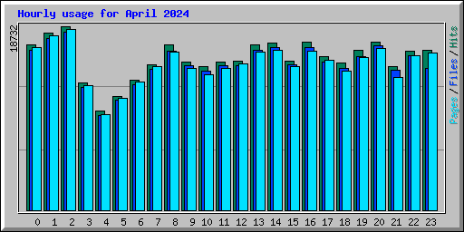 Hourly usage for April 2024