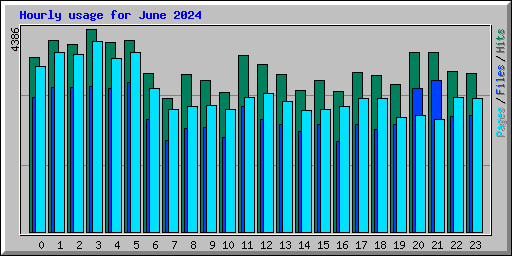 Hourly usage for June 2024