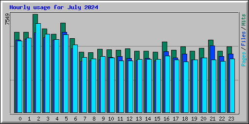 Hourly usage for July 2024