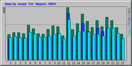 Hourly usage for August 2024