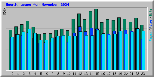 Hourly usage for November 2024